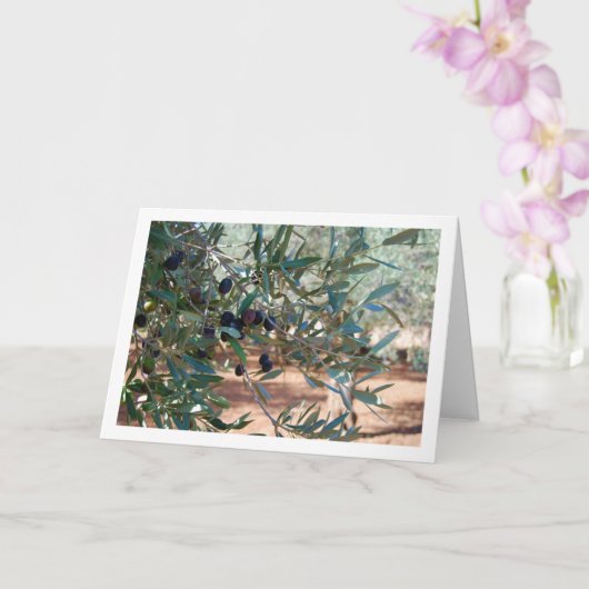 Olijfboom Portret Kaart (Orchidee)