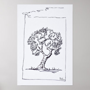 Olijfboom Zuid-Frankrijk Poster