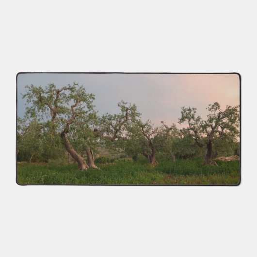 Olijfboomgaard bij zonsondergang bureaumat (Voorkant)