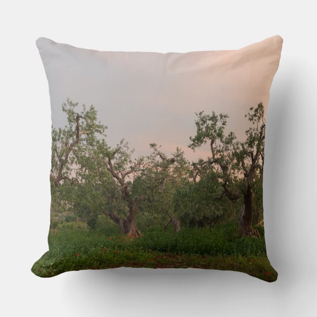 Olijfboomgaard bij zonsondergang kussen (Voorkant)