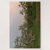 Olijfboomgaard bij zonsondergang legpuzzel (Verticaal)