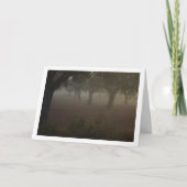 Olijfboomgaard op een mistige ochtend kaart (Voorkant)