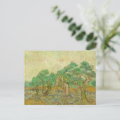 Olijfboomgaard van het Van Gogh Briefkaart (Staand voorkant)