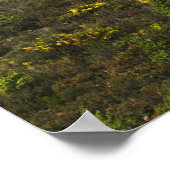 Olijfboomgaarden Poster (Hoek)