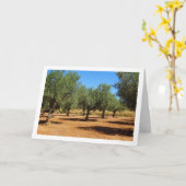 Olijfgaard Landschap Kaart (Gele Bloem)