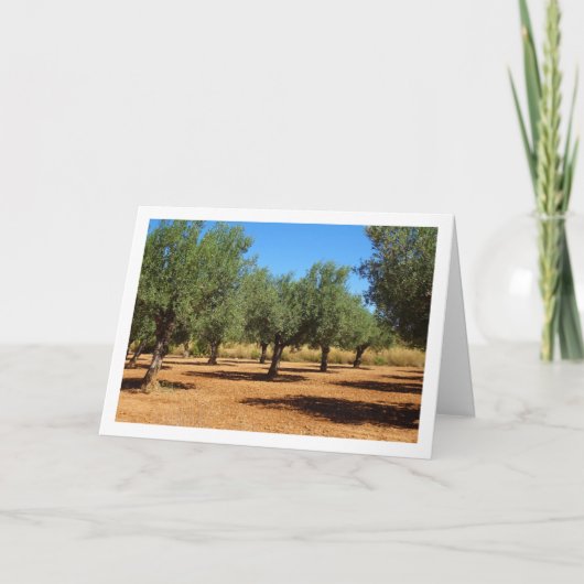 Olijfgaard Landschap Kaart (Voorkant)