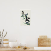 Olijfzijdige brochure van Audubon Poster (Keuken)