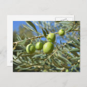 Olijven Briefkaart (Voorkant / Achterkant)