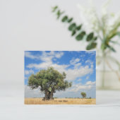 Olijven Briefkaart (Staand voorkant)