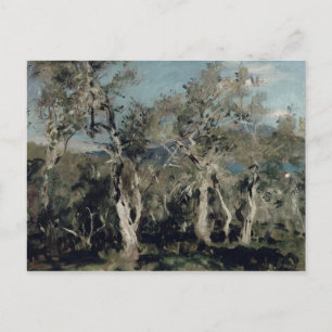 Olijven, Korfoe, 1912 Briefkaart