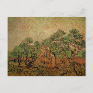 Olijven plukken door Vincent van Gogh Briefkaart