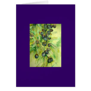 olijven, zomer, zon,