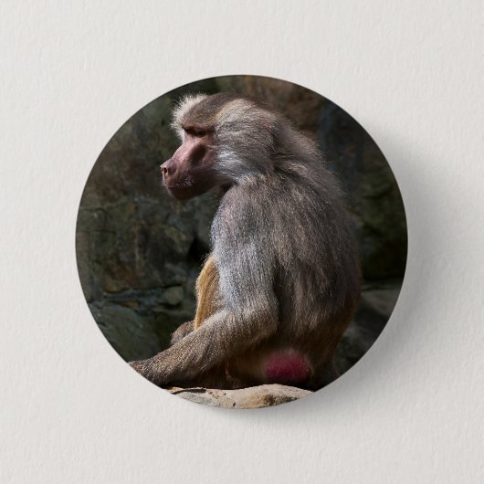 Olive Baboon Ronde Button 5,7 Cm (Voorkant)