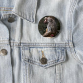 Olive Baboon Ronde Button 5,7 Cm (In situ)