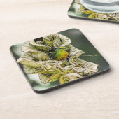 Olive Backed Euphonia, Exotic Belize Bird Bier Onderzetter (Linkerzijde)