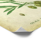 Olive Branch no. 10 Farmhouse Dining Decor Poster (Hoek)