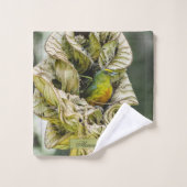 Olive Euphonia, Belize Bird Photography (Gant de toilette)