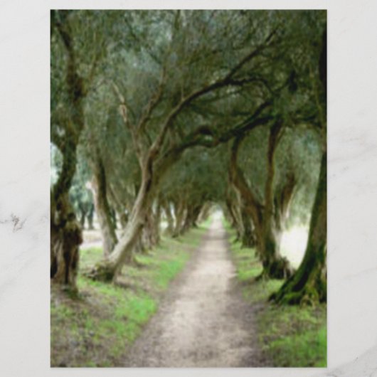 Olive Garden Flyer (Voorkant)