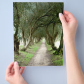 Olive Garden Flyer (Hand)