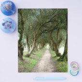 Olive Garden Flyer (Enkel)