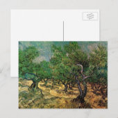Olive Grove by Vincent van Gogh Briefkaart (Voorkant / Achterkant)
