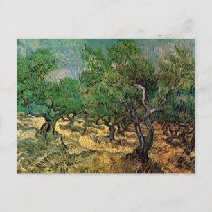 Olive Grove by Vincent van Gogh Briefkaart