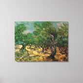 Olive Grove by Vincent van Gogh Canvas Afdruk (Voorkant)