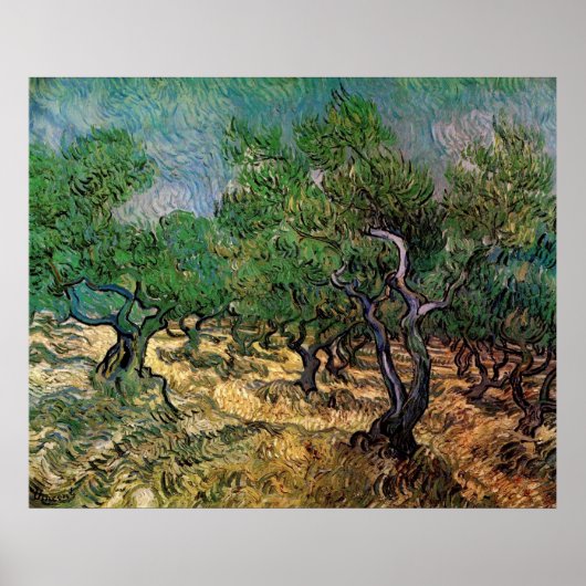 Olive Grove by Vincent van Gogh Poster (Voorkant)