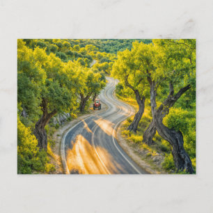 Olive Grove met oude tractor bij Evening Road Feestdagenkaart
