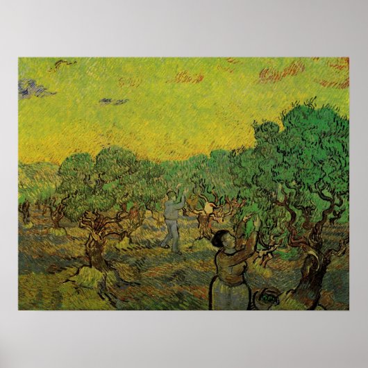 Olive Grove with Picking Figures, Vincent van Gogh Poster (Voorkant)
