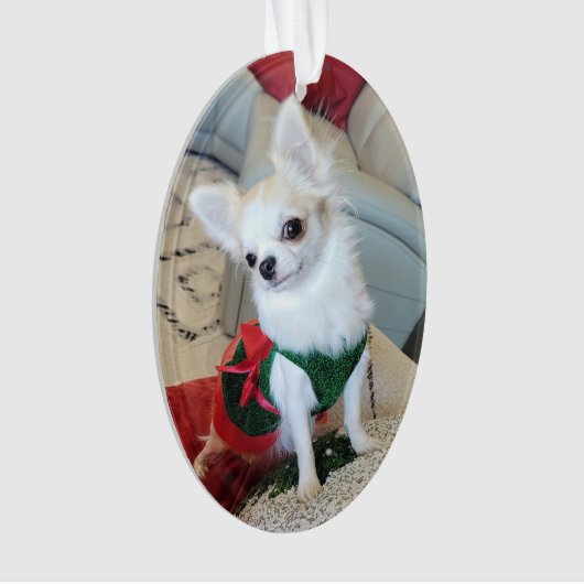 Olive Noël Ornament 2024 (devant)