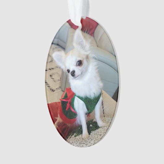 Olive Noël Ornament 2024 (devant)