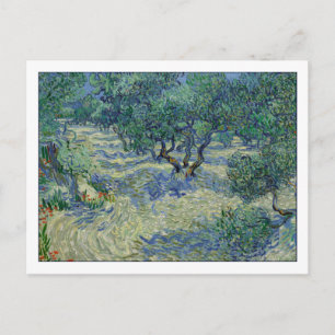 Olive Orchard van Gogh Briefkaart