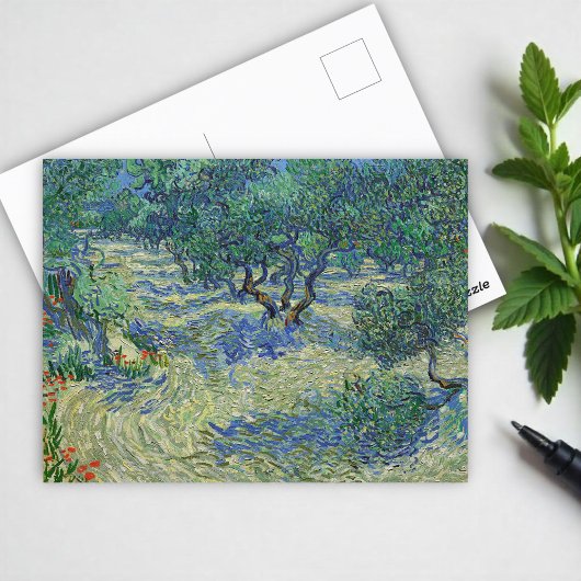 Olive Orchard, Vincent van Gogh Briefkaart