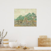 Olive Orchard - Vincent van Gogh Poster d'art (Cuisine)