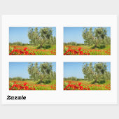 Olive tree dans le champ de pavot autocollant rect (Feuille)