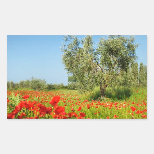 Olive tree dans le champ de pavot autocollant rect (Devant)