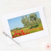 Olive tree dans le champ de pavot autocollant rect (Enveloppe)