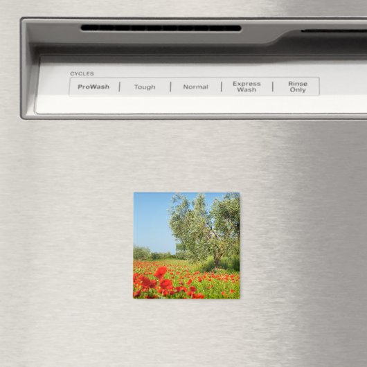 Olive tree in poppy field aimant (In Situ (Lave-vaisselle))