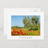 Olive tree in poppy field, carte postale blanche t (Devant / Derrière)