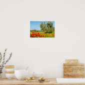 Olive tree in poppy field poster (Cuisine)