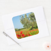 Olive tree in poppy field sticker (Enveloppe)