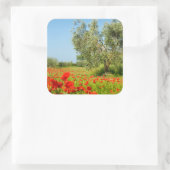 Olive tree in poppy field sticker (Sac)