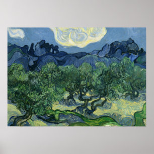 Olive Trees by Van Gogh Poster