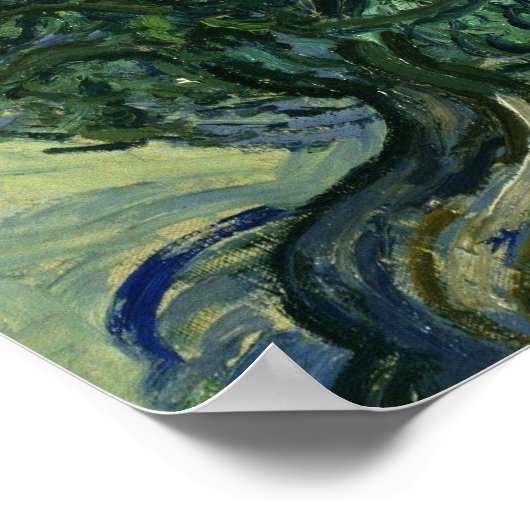 Olive Trees par Van Gogh Poster (Coin)
