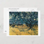 Olive Trees, Vincent van Gogh Briefkaart (Voorkant / Achterkant)