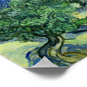 Olive Trees Vincent Van Gogh Poster (Hoek)