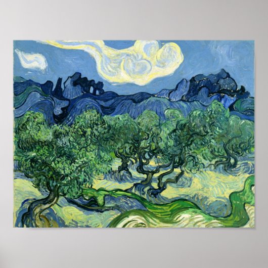 Olive Trees Vincent Van Gogh Poster (Voorkant)