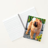 OLIVER Chow Chow Chow carnet en spirale 8 1/2x11 (Intérieur)