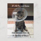 Oliver The Cats Cone of Shame Briefkaart (Voorkant)